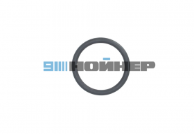 4-012-02-0425 Кольцо уплотнительное 29*3,5 VITON HOMAG