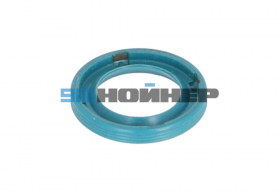 4-012-01-0365 Кольцо уплотнительное G 14*22*3 HOMAG