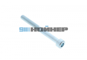 4-001-09-0234 Болт ISO4762 M5*50 8,8 HOMAG