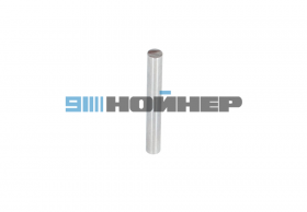 3-613-01-2230 Ось 63*4*8 HOMAG