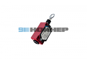 21640010 Концевой выключатель SN6170-SL-C NANXING