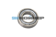 11640090 Подшипник высокотемпературный 6005-ZZ-C3 S3 NANXING