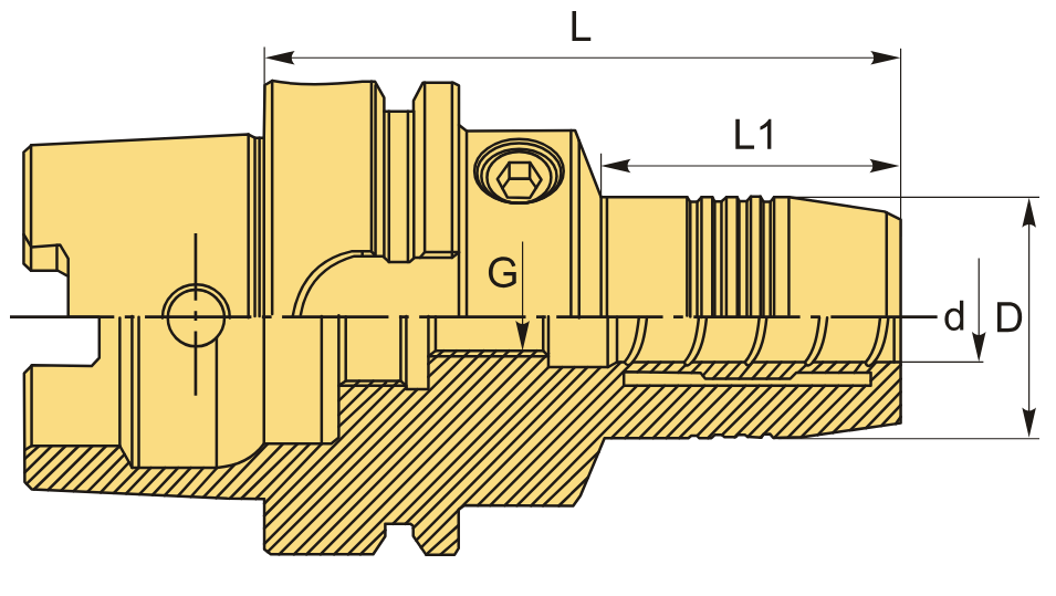 2100068 Гидропатрон HSK63F-HY12-85 чертеж