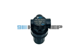 PR-200-RNKG Регулятор давления PISCES NUEMATIC
